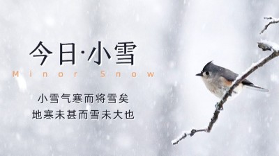 今日小雪：天漸寒，雪漸盛，愿您安康！