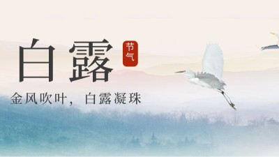 24節氣 | 白露，天漸涼勿露身